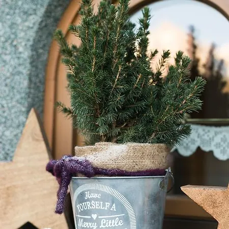 ペンション アルペンブリック マリア・アルム・アム・シュタイナーネン・メアー