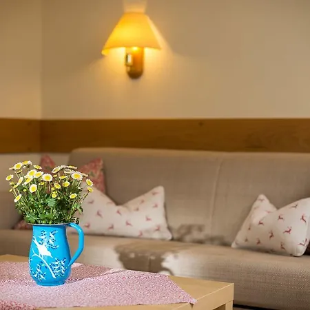 شقة بنسيون أبارتيمنتس ألبنبليك ماريا ألم ام شتاينر